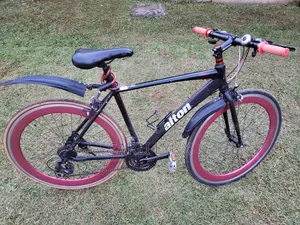 Alton Hybrid Bike