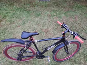 Alton Hybrid Bike