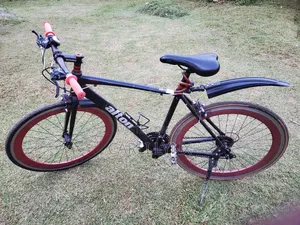 Alton Hybrid Bike
