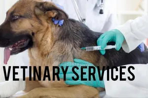 Vetinary Services