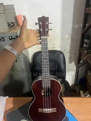 Kid ‘S Guitar