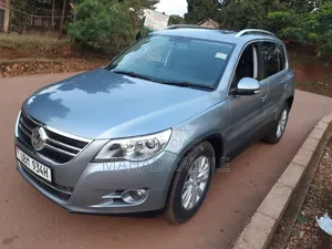 Volkswagen Tiguan 2010 Gray