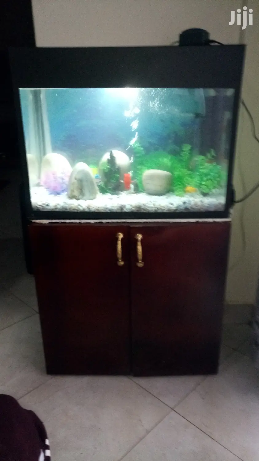 Cheap Aquariums From Aqua 2000