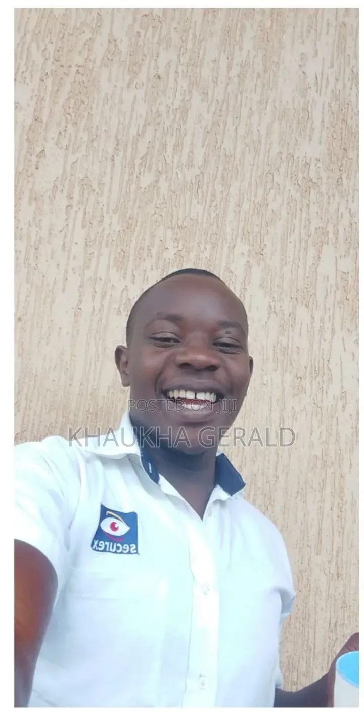 Security Professional