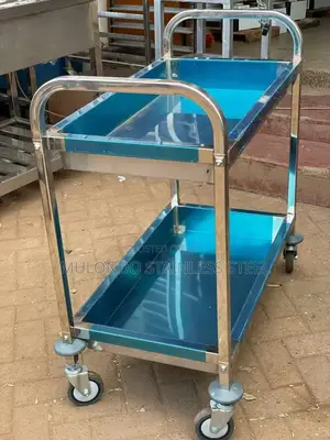 Trolley Rack Two Steps Stainless Steel Tray