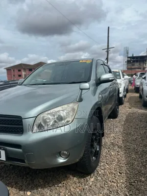 Toyota RAV4 2008 Gray