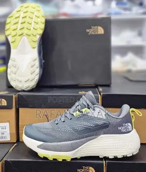 Gray Version of the North Face Sneakers