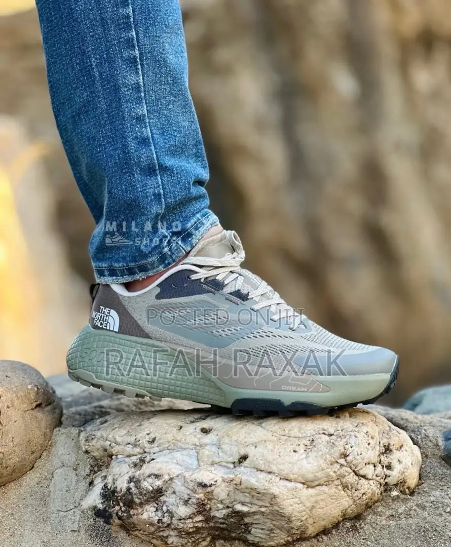 Gray Version of the North Face Sneakers