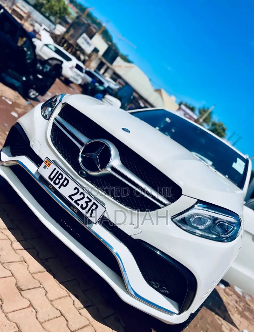 Professional Driver Services