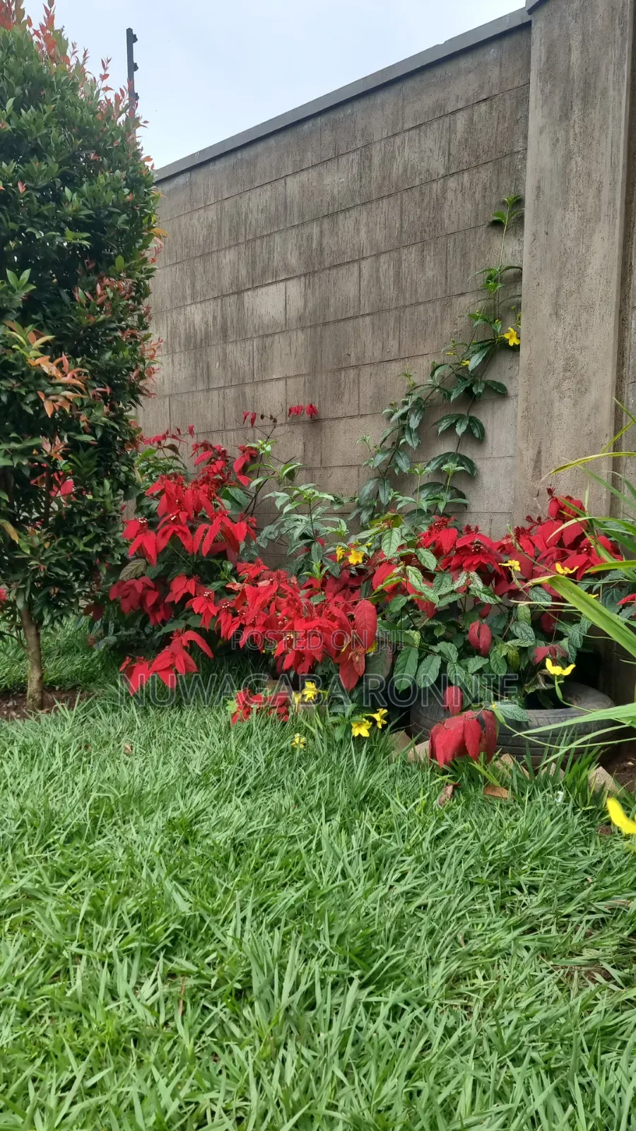 Home Beautification