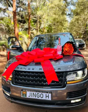 Car Unveiling Decor