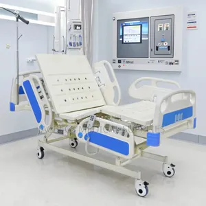 Electric 5 Function Bed