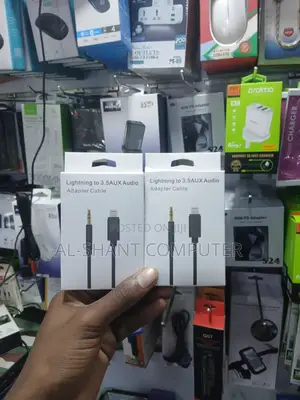 Lightening to 3.5 Aux Audio Adapter Cable