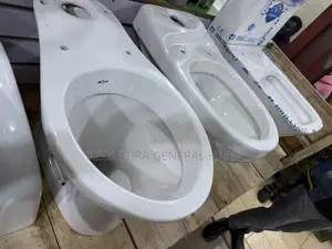 Toilet Seat Complete