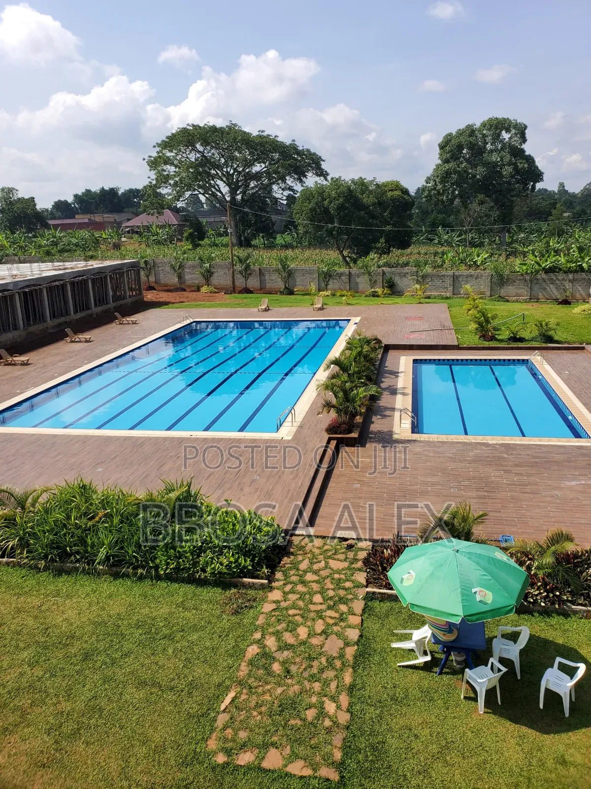Swimming Lesson Services