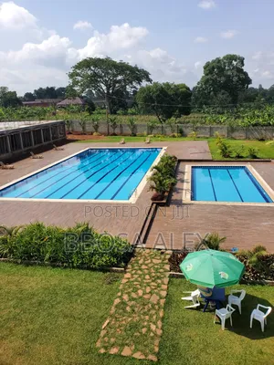 Swimming Lesson Services