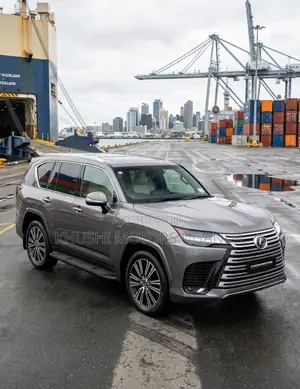 Lexus LX 500d 2023 Gray