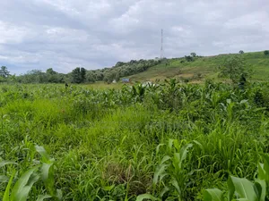 Plots of Land for Sale