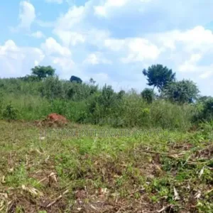 50 by 100 in Mwera Kakiri Ready With Land Title