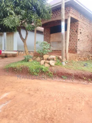 Bussines House on Sell