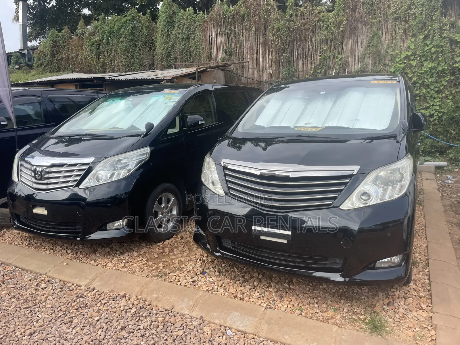 Toyota Alphards Available for Hire