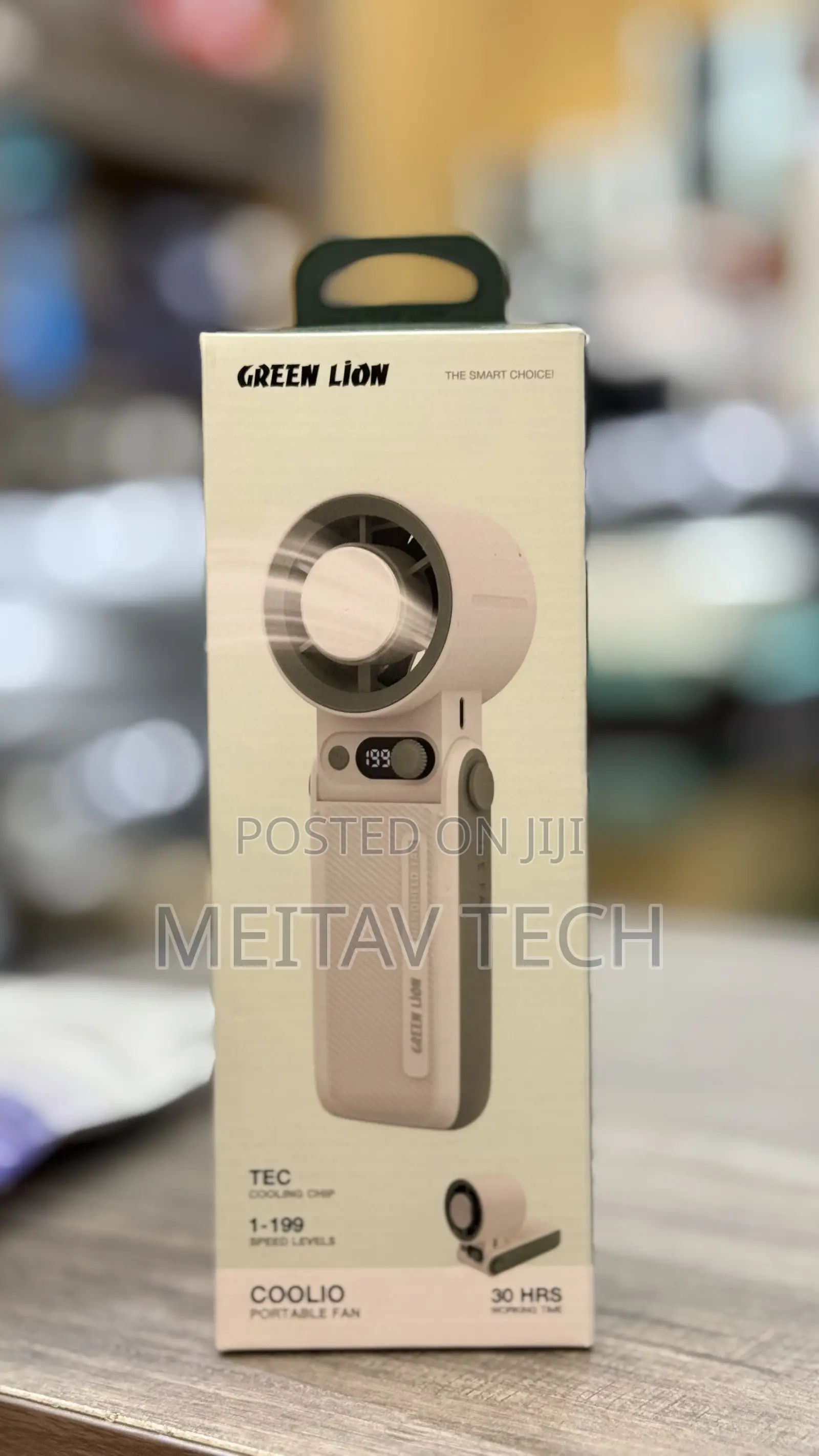 Portable Fan