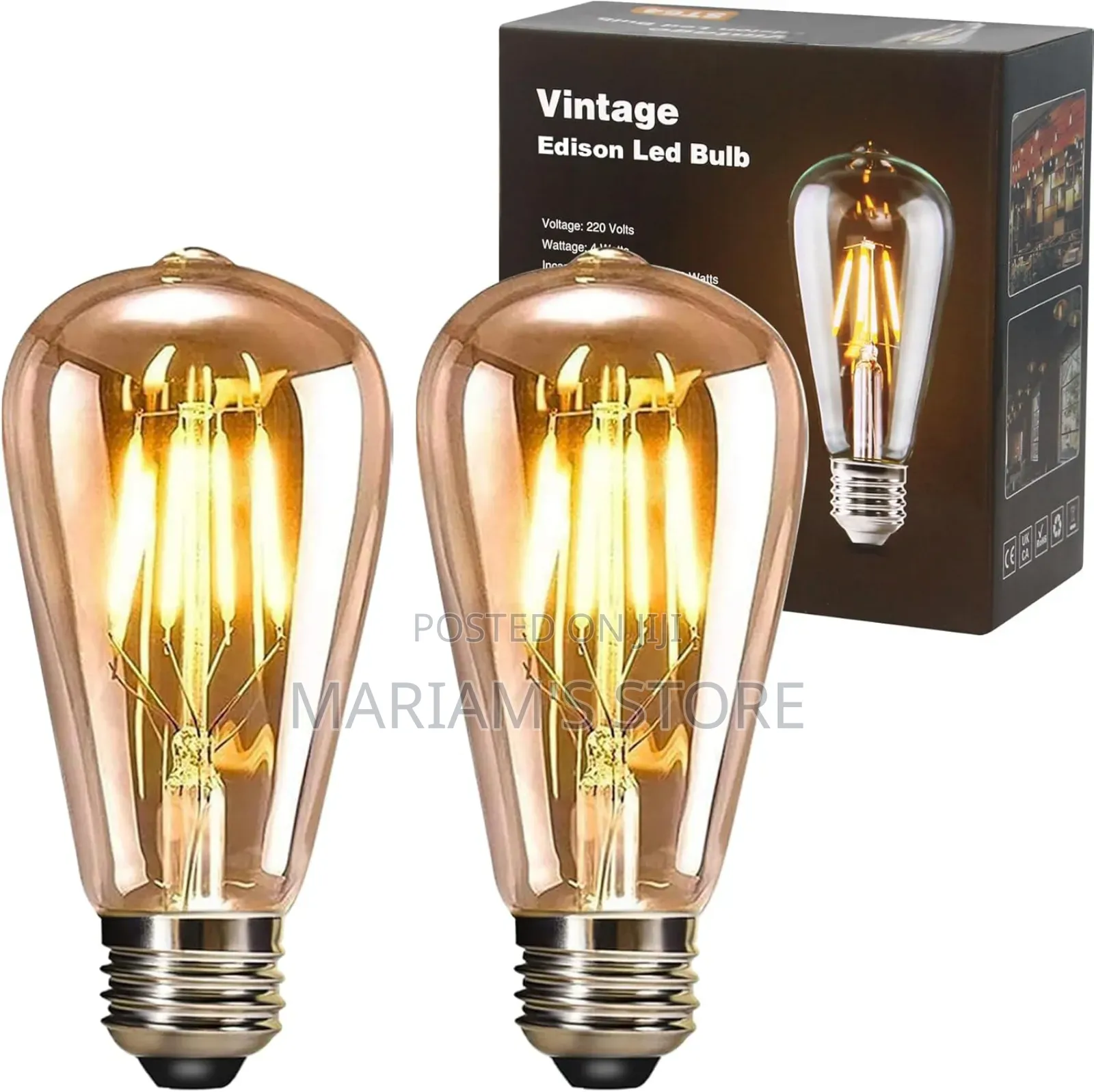 6w Led Edison Filament Bulb in a Vintage