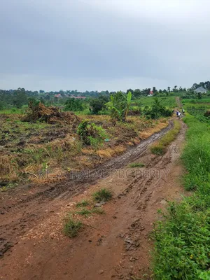 1.7 Acre Good Kisenyi Land Here at Kabonge 2km Off Bombo Rd All 50m