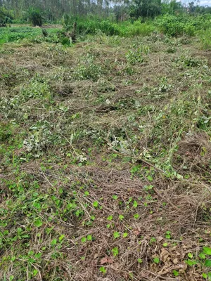 Kisenyi Land Titled on Semuto Road