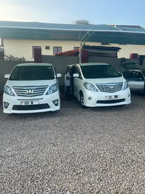 Toyota Alphards Available for Hire