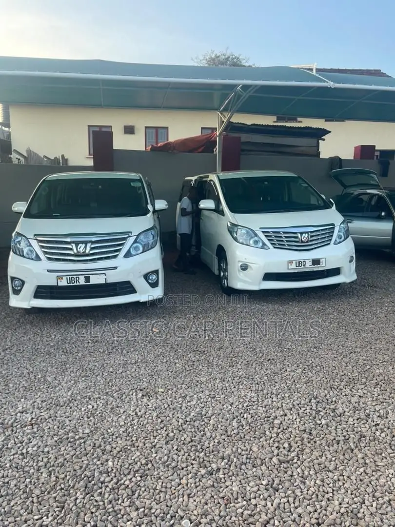 Toyota Alphards Available for Hire