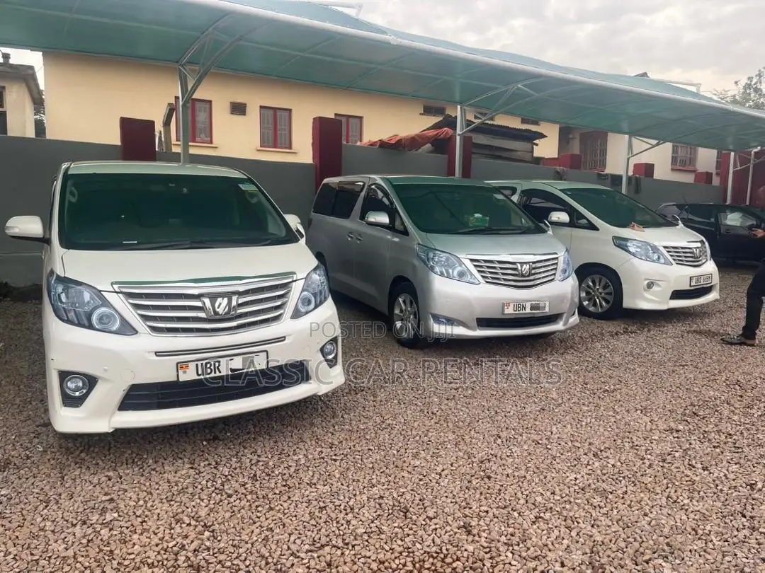 Toyota Alphards Available for Hire