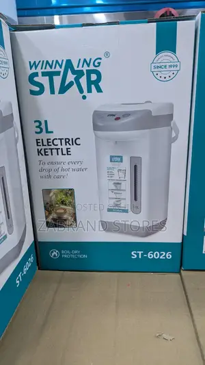 3l Winningstar Electric Kettle
