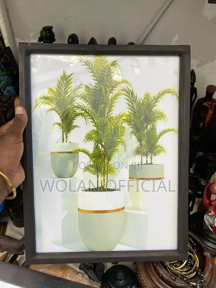 Framed Images