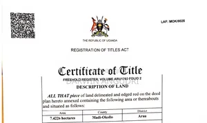 Commercial/Farm Land