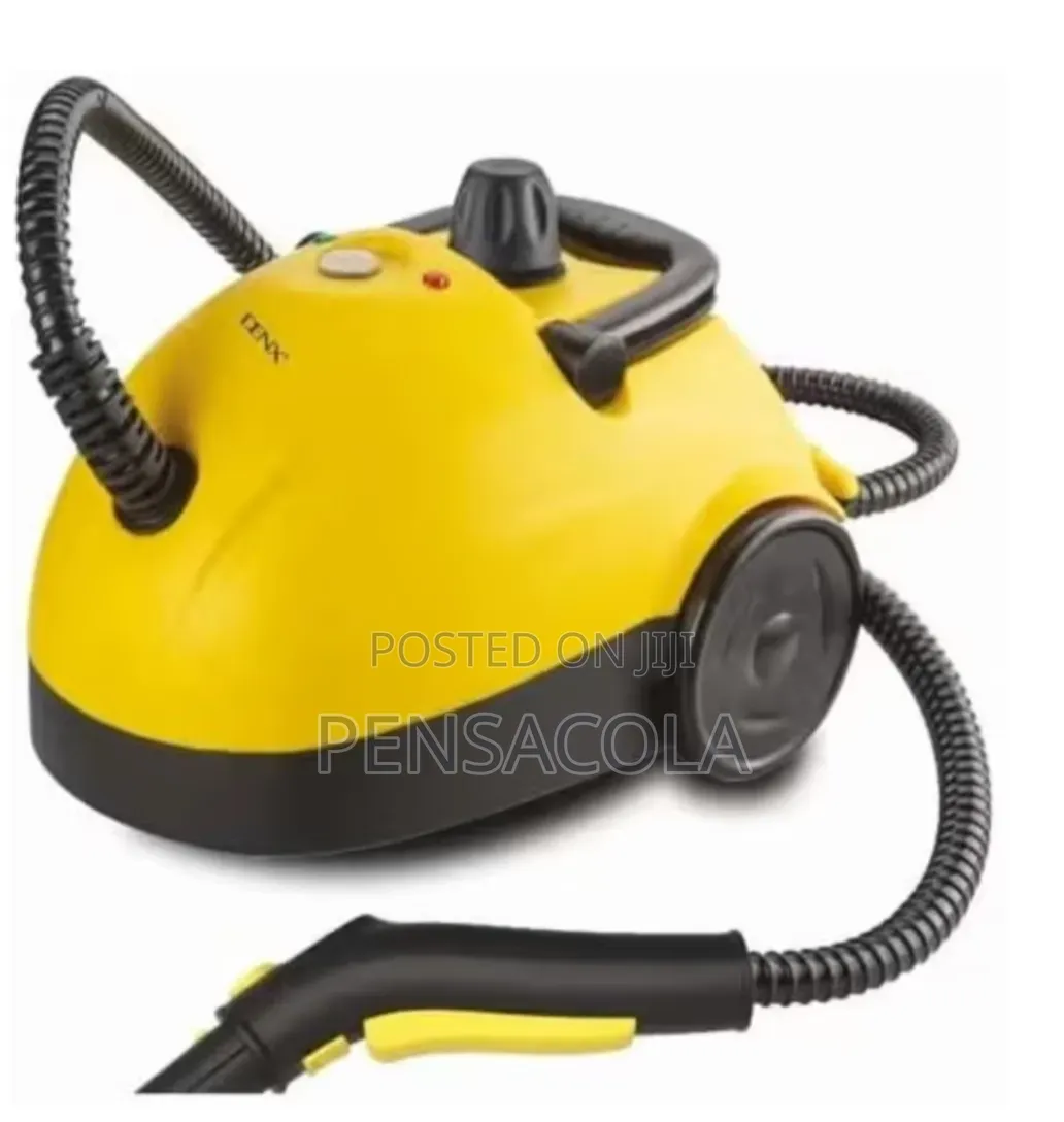Steam Cleaner