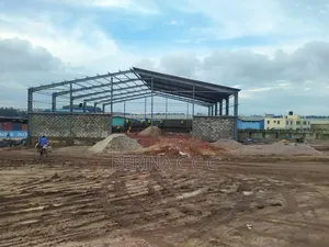 Steel Roofing