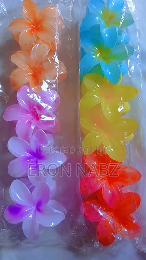Plastic Hair Clip Ons
