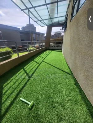 Cheap Artificial Grass Carpet for Sale in Kampala