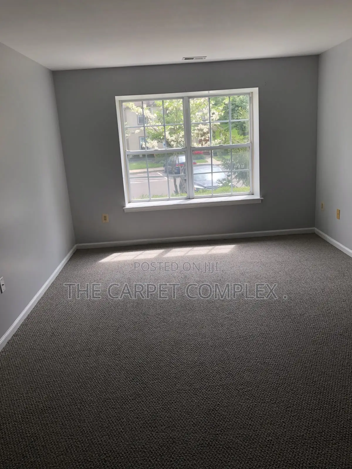 Office Modern Carpets Squaremeter