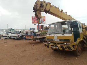Bagger Cranes for Hire 8 Tonnes