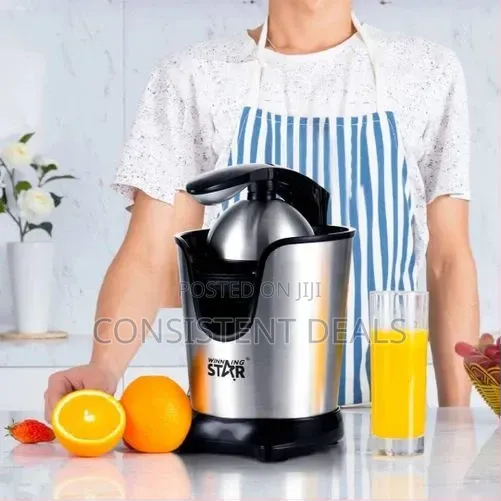 Winningstar 300ml 130w Fresh Electric Citrus Juicer Blender