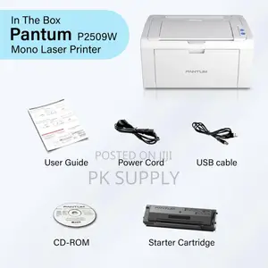 Pantum P2509w Wireless Printer