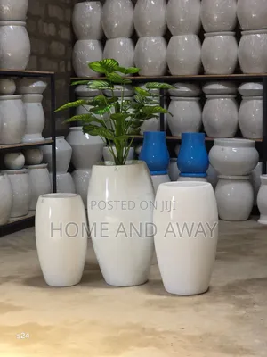Flower Pots/All Types of Flowers Flower Pots From 150,000/-