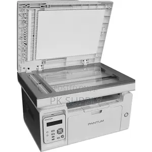 Multifunctional Laser Pantum W6509nw Printer