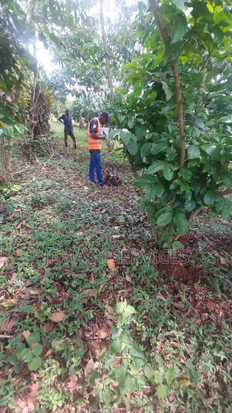 Hydrogeological Survey Reports