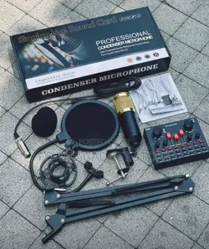 Professional Condenser Microphone