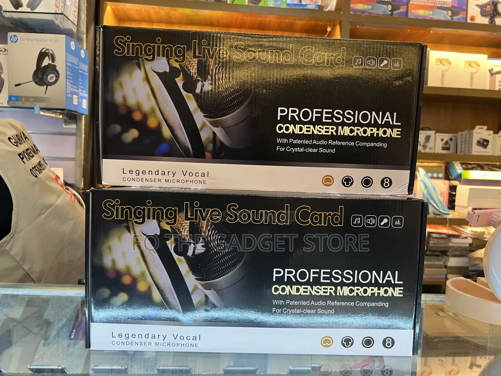 Professional Condenser Microphone