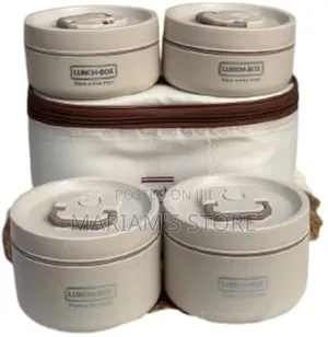 4-Piece Stainless Steel Insulated Lunch Box Set With a Carrying Bag