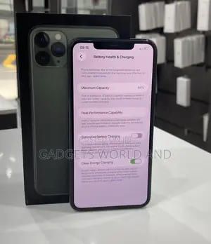 Apple iPhone 11 Pro Max 256 GB Green